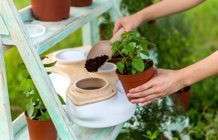 Biovessel Living Composter Worm Farm » Gadget Flow Biovessel Living Composter Worm Farm » Gadget Flow