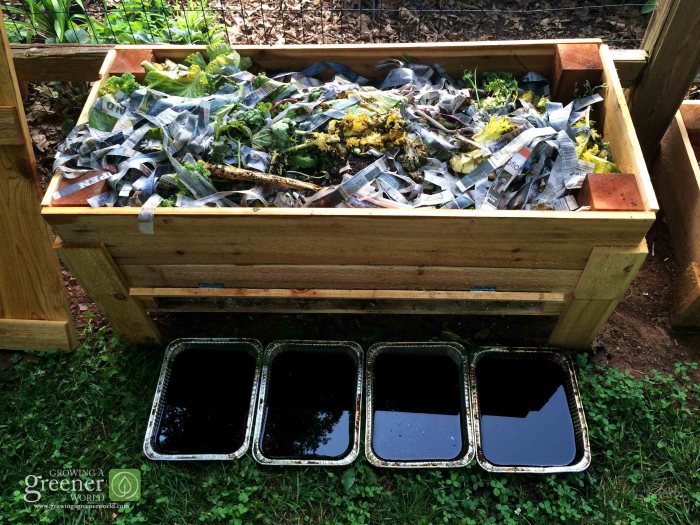 Worm Compost Bin Worm Compost Bin